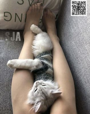 成人福利在线视频_在线手机观看